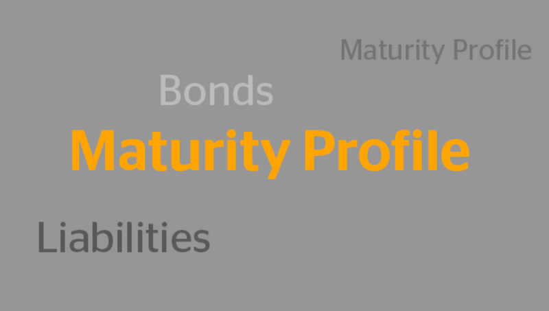 Financing Strategy